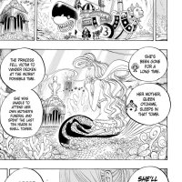 one piece 619