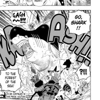 one piece cap 614