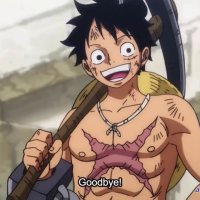 one piece 920