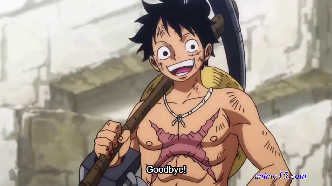one piece 920