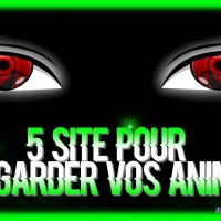 animesvost.net