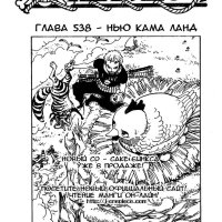one piece 538