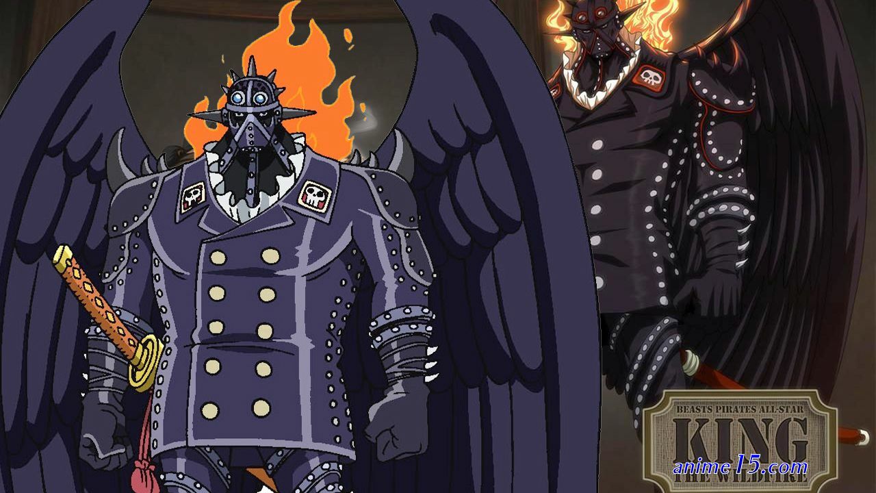 one piece 538