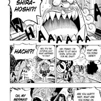 one piece 619