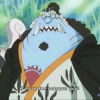 one piece 538