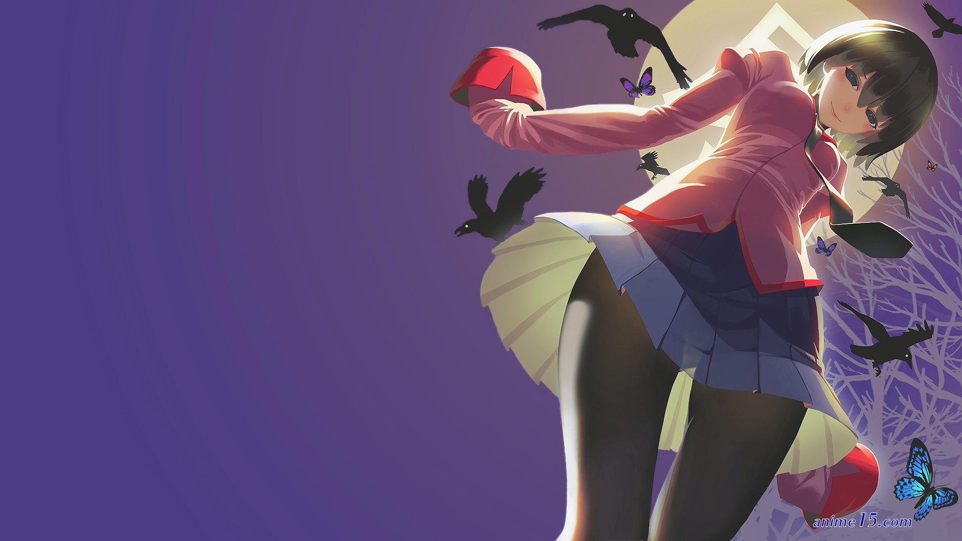zoku owarimonogatari donde ver