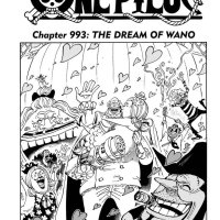 one piece 993