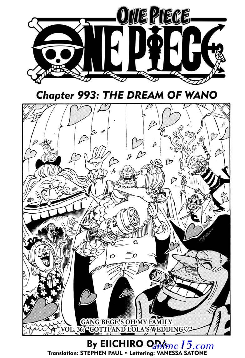 one piece 993