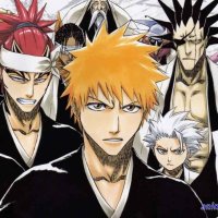 bleach ep 189 vf