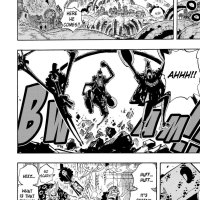 one piece 509