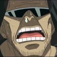 one piece 509
