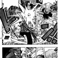 one piece 509
