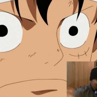 one piece 509