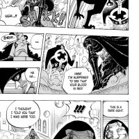 one piece 509