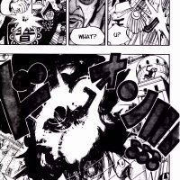 one piece 509