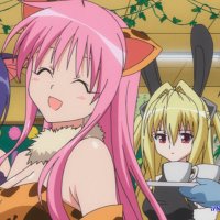 to love ru dub