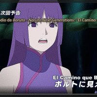 ver boruto 223