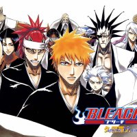 bleach ep 189 vf
