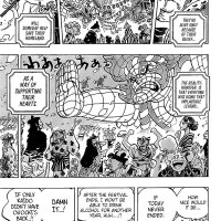 one piece 993