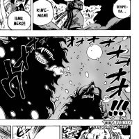 one piece 990