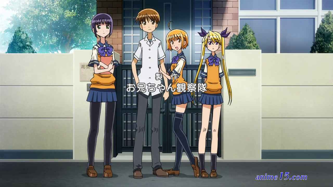 oniichan no koto nanka zenzen suki janain dakara ne animeflv