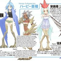 monster musume sub indo
