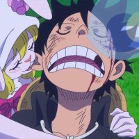 episodio874 onepiece