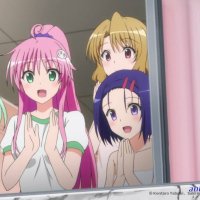 to love ru dub