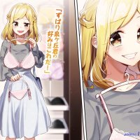 download light novel ie ni kaeru to kanojo ga kanarazu nanika shiteimasu epub