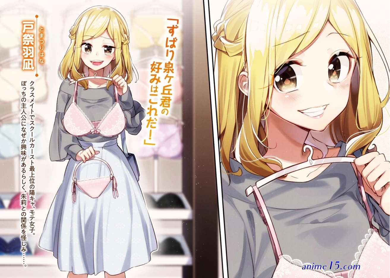 download light novel ie ni kaeru to kanojo ga kanarazu nanika shiteimasu epub