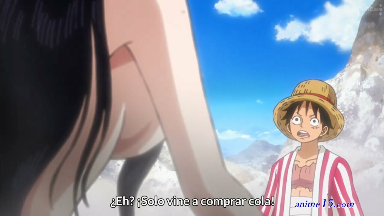 one piece capítulo 895