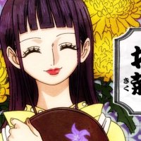 one piece ep994