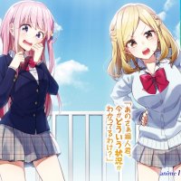 download light novel ie ni kaeru to kanojo ga kanarazu nanika shiteimasu epub