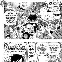 one piece 875