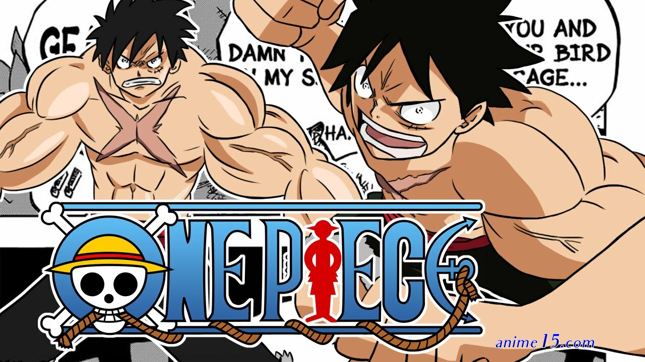 one piece 784
