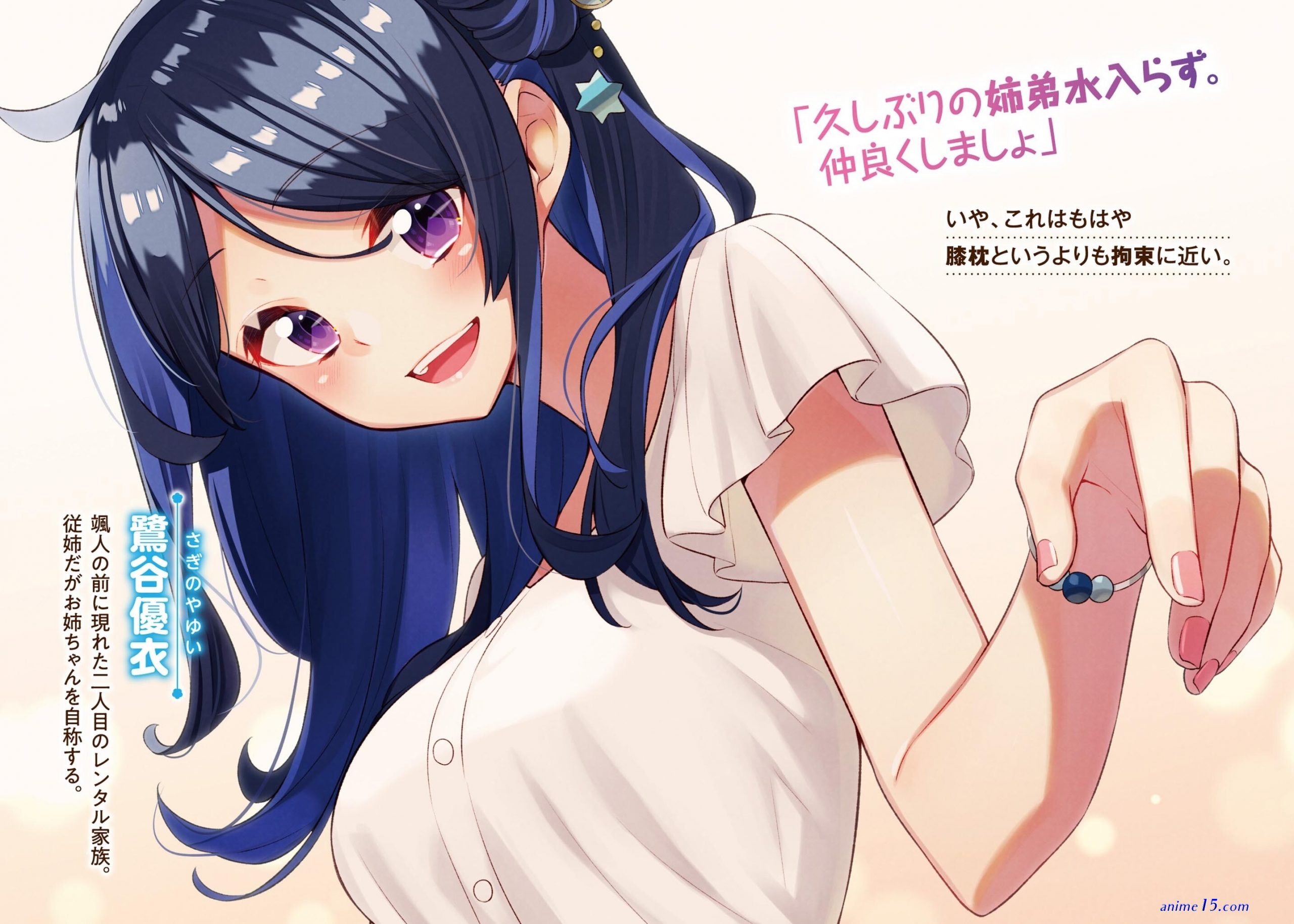 download light novel ie ni kaeru to kanojo ga kanarazu nanika shiteimasu epub
