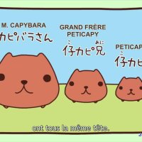 vostanimez.com