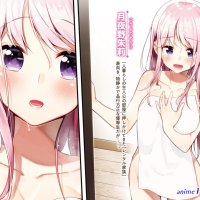 download light novel ie ni kaeru to kanojo ga kanarazu nanika shiteimasu epub