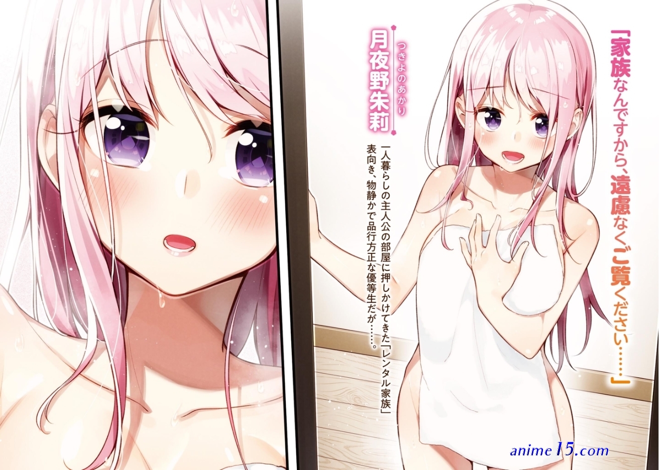 download light novel ie ni kaeru to kanojo ga kanarazu nanika shiteimasu epub