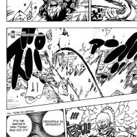 one piece caap 783