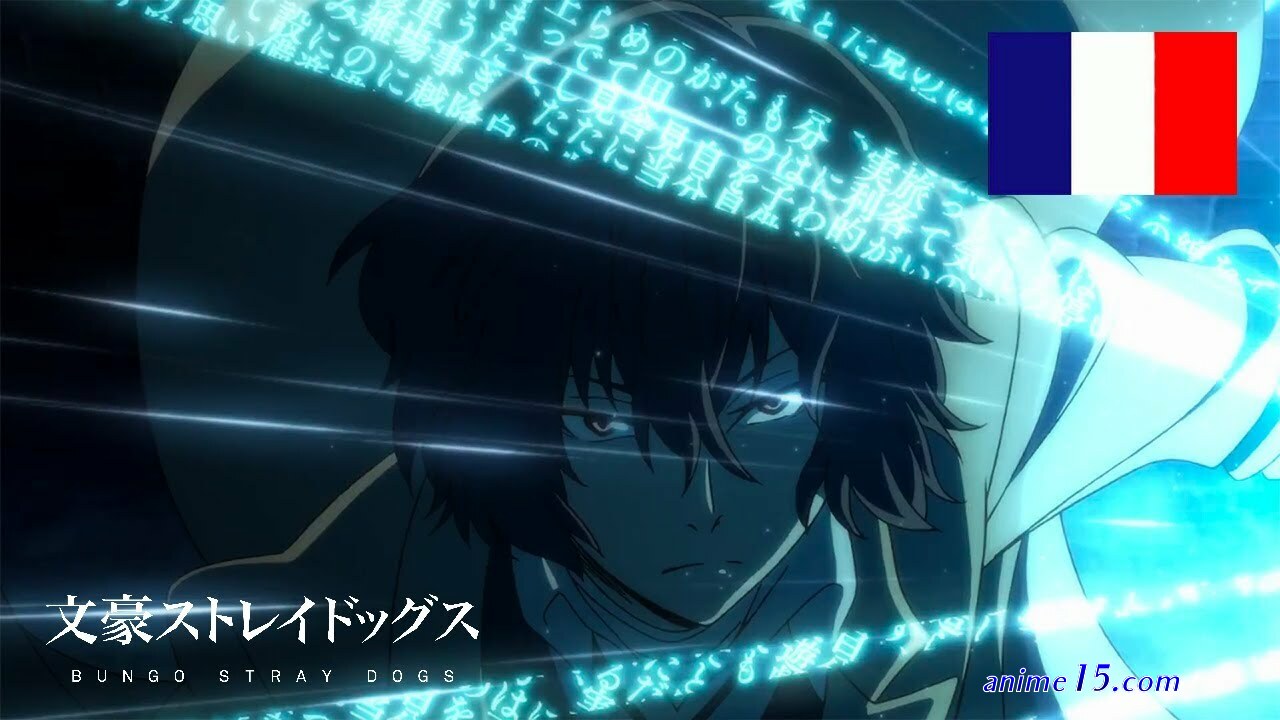 bungou stray dogs vf streaming