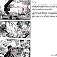 one piece 895