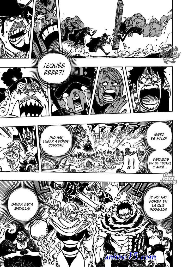 one piece cap 868