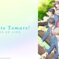 kono oto tomare