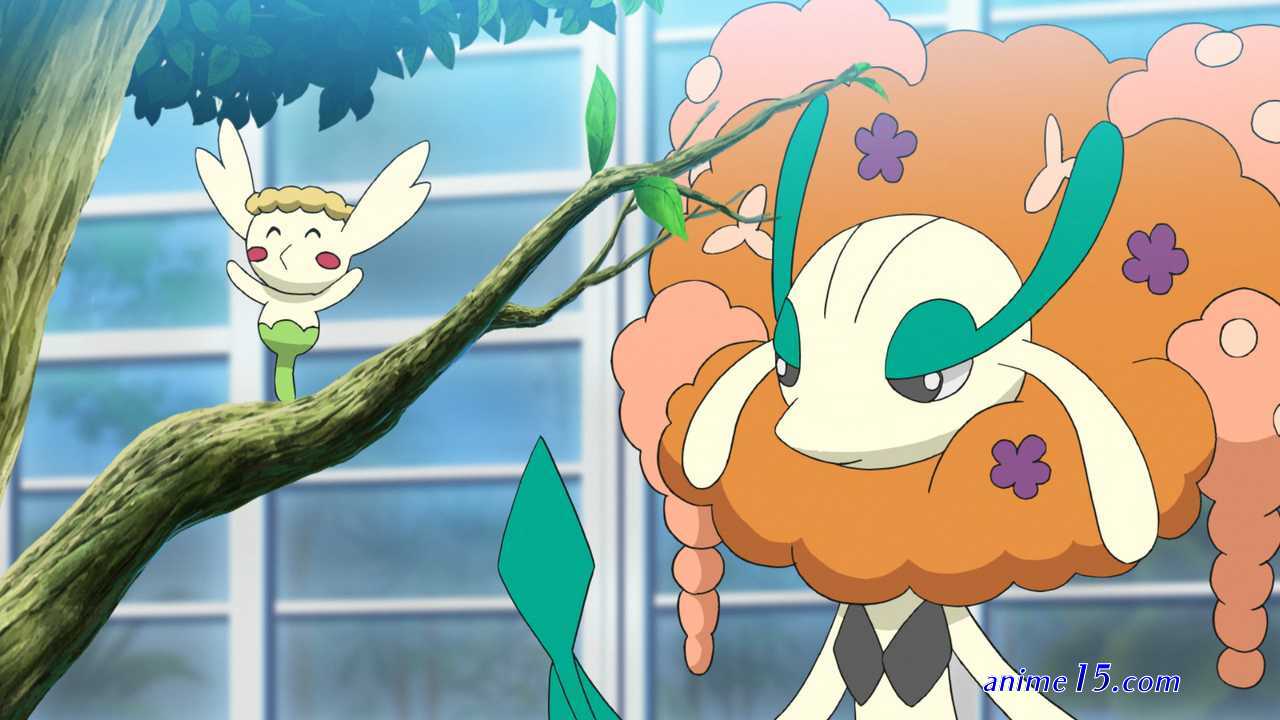 pokemon joureys english subbed