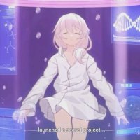 honkai impact flv