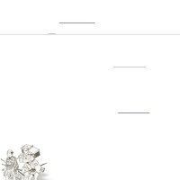 download light novel ie ni kaeru to kanojo ga kanarazu nanika shiteimasu epub