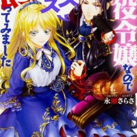 download light novel ie ni kaeru to kanojo ga kanarazu nanika shiteimasu epub