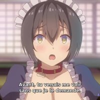 anime hentei vosfr