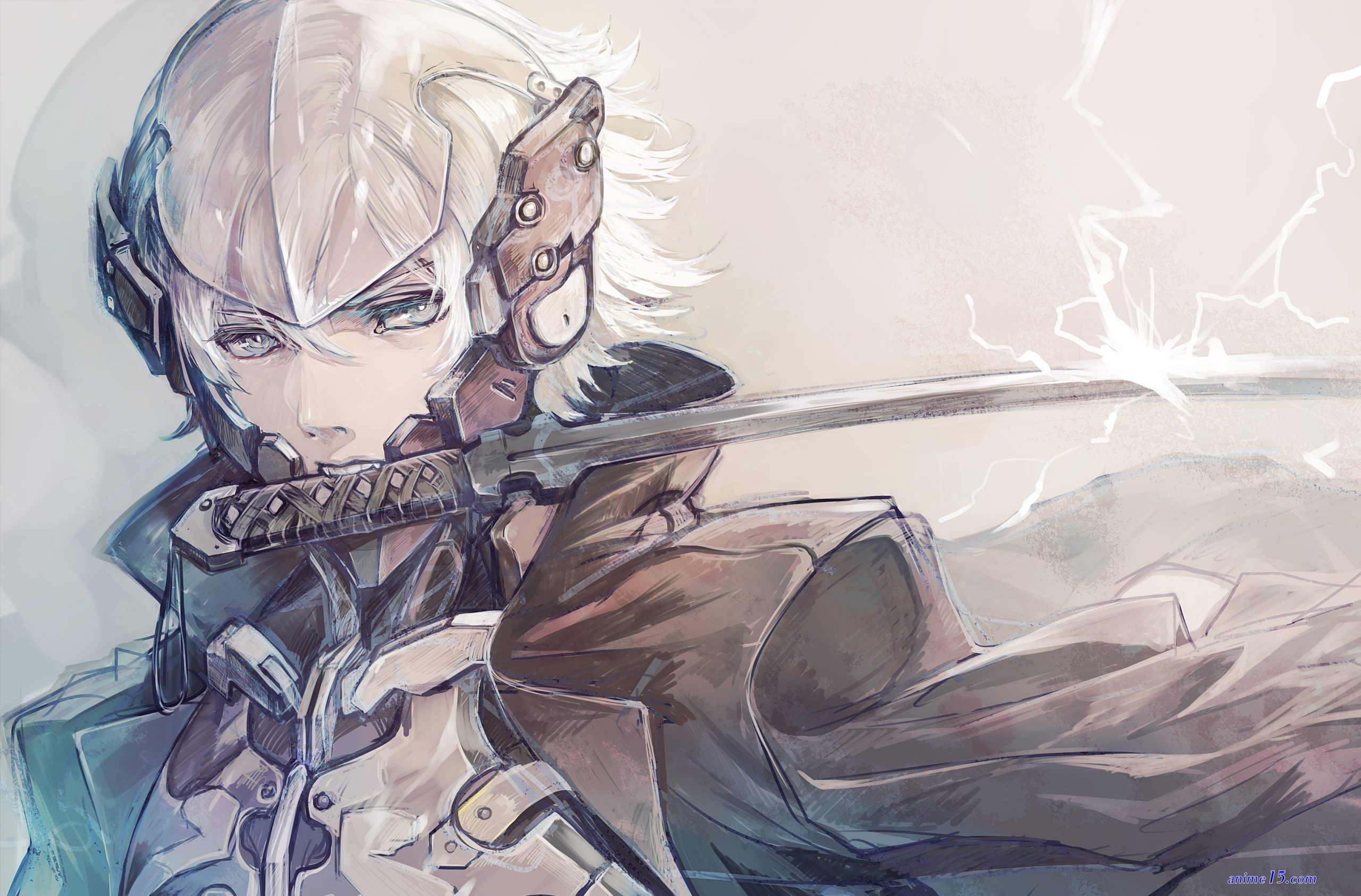anime raidin en streaming
